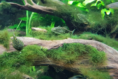 AQUARIUM TROPICAL DE PARIS (75012) LE 14/03/2025