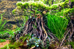 AQUARIUM TROPICAL DE PARIS (75012) LE 14/03/2025