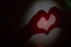 BEST OF DE SAINT-VALENTIN 2025-2026