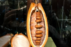 CHOCO-STOTY (MUSÉE DU CHOCOLAT) À PARIS (75010) LE 13/03/2025