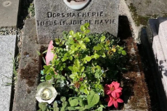 CIMETIÈRE DES CHIENS D'ASNIÈRES-SUR-SEINE (92) LE 20/09/2025