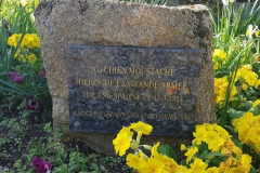 CIMETIÈRE DES CHIENS D'ASNIÈRES-SUR-SEINE (92) LE 20/09/2025