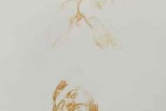 DESSINS DE PESCASTUDIO