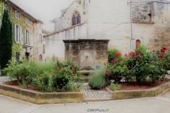EN BALLADE A VISAN (ENCLAVE DES PAPES) (84) LE 29/07/2021