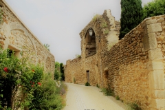 EN BALLADE A VISAN (ENCLAVE DES PAPES) (84) LE 29/07/2021