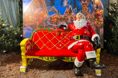 ILLUMINATIONS DE PARIS ET LES ALENTOURS 2025