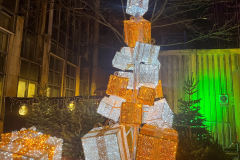 ILLUMINATIONS DE PARIS ET LES ALENTOURS 2025