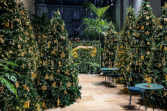 ILLUMINATIONS DE PARIS ET LES ALENTOURS 2025