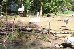 Jardin Aux Oiseaux / Zoo d'Upie (26) le 01/04/2024