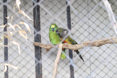 Jardin Aux Oiseaux / Zoo d'Upie (26) le 01/04/2024