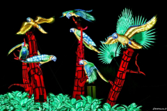 Jurassique en voie d'illumination (édition 2024) à Paris (75005)