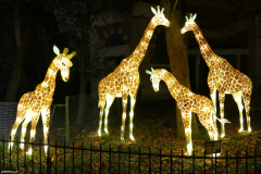 Jurassique en voie d'illumination (édition 2024) à Paris (75005)