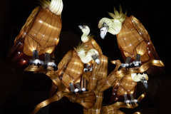 Jurassique en voie d'illumination (édition 2024) à Paris (75005)