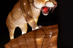 Jurassique en voie d'illumination (édition 2024) à Paris (75005)