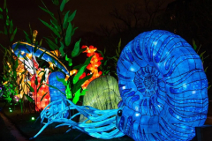 Jurassique en voie d'illumination (édition 2024) à Paris (75005)