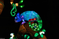 Jurassique en voie d'illumination (édition 2024) à Paris (75005)