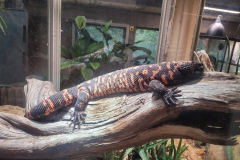 La Ménagerie du Jardin des plantes de Paris (75005) le 23/12/2024