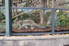 La Ménagerie du Jardin des plantes de Paris (75005) le 23/12/2024