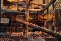 La Ménagerie du Jardin des plantes de Paris (75005) le 23/12/2024