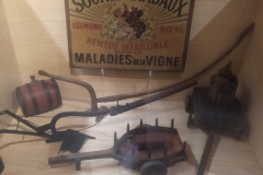 Le M. Musée du Vin à Paris (75016) le 11/02/2025