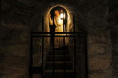 Le M. Musée du Vin à Paris (75016) le 11/02/2025