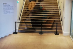 Le musée de l'Homme à Paris (75016) le 11/02/2025