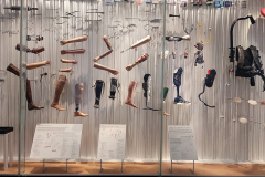 Le musée de l'Homme à Paris (75016) le 11/02/2025