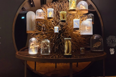 Le musée de l'Homme à Paris (75016) le 11/02/2025