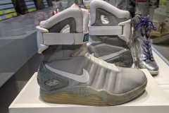 Le musée de l'Homme à Paris (75016) le 11/02/2025