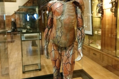 Le Musée d'Histoire de la Médecine à Paris (75006) le 07/05/2025