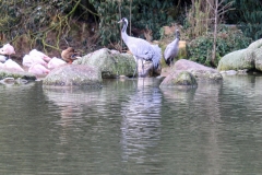 LE PARC DE LA TÊTE D'OR LYON (69) LE 01/02/2020