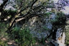 LE VILLAGE TROGLODYTIQUE DE BARRY / LE MASSIF DE BARRY & LE CHÂTEAU DE BARRY (26-84) LE 31/05/2021