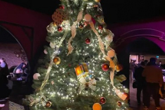 L'EXTRAORDINAIRE MAISON DU PÈRE NOËL À JABINES (77)