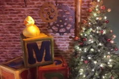 L'EXTRAORDINAIRE MAISON DU PÈRE NOËL À JABINES (77)