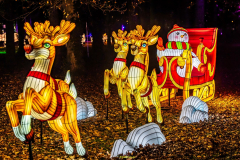 L'ODYSSÉE LUMINEUSE DE PARIS (75012) 2025-2026 (PARTIE 1)