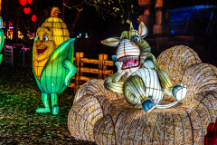 L'ODYSSÉE LUMINEUSE DE PARIS (75012) 2025-2026 (PARTIE 1)