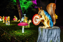 L'ODYSSÉE LUMINEUSE DE PARIS (75012) 2025-2026 (PARTIE 1)