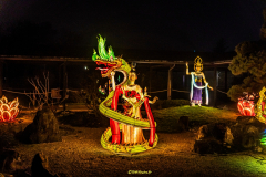 L’ODYSSÉE LUMINEUSE DE PARIS (75012) 2025-2026 (PARTIE 2)