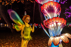 L’ODYSSÉE LUMINEUSE DE PARIS (75012) 2025-2026 (PARTIE 2)