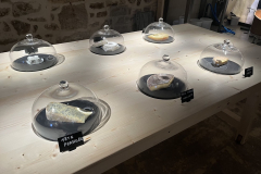 Musée Vivant du fromage à Paris (75004) le 28/02/2025