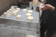 Musée Vivant du fromage à Paris (75004) le 28/02/2025