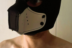 PHOTOS RÉALISÉES PAR @LO_PARIS3 LE 12/03/2026