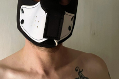 PHOTOS RÉALISÉES PAR @LO_PARIS3 LE 12/03/2026