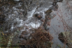 PONT LOUIS XIII PRIVAS (07) 18/12/2019