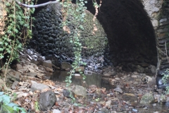 PONT LOUIS XIII PRIVAS (07) 18/12/2019