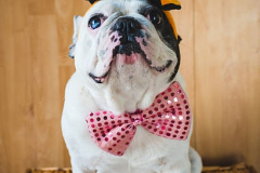 PORTRAIT DE NACHO LE 21/10/2025