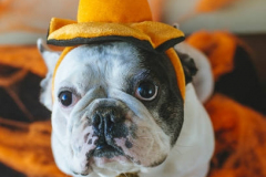 PORTRAIT DE NACHO LE 21/10/2025