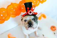 PORTRAIT DE NACHO LE 21/10/2025