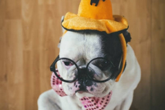 PORTRAIT DE NACHO LE 21/10/2025