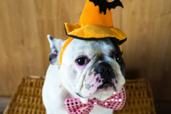 PORTRAIT DE NACHO LE 21/10/2025